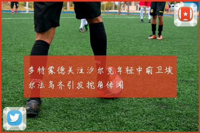 多特蒙德关注沙尔克年轻中前卫埃尔法乌齐引发挖角传闻